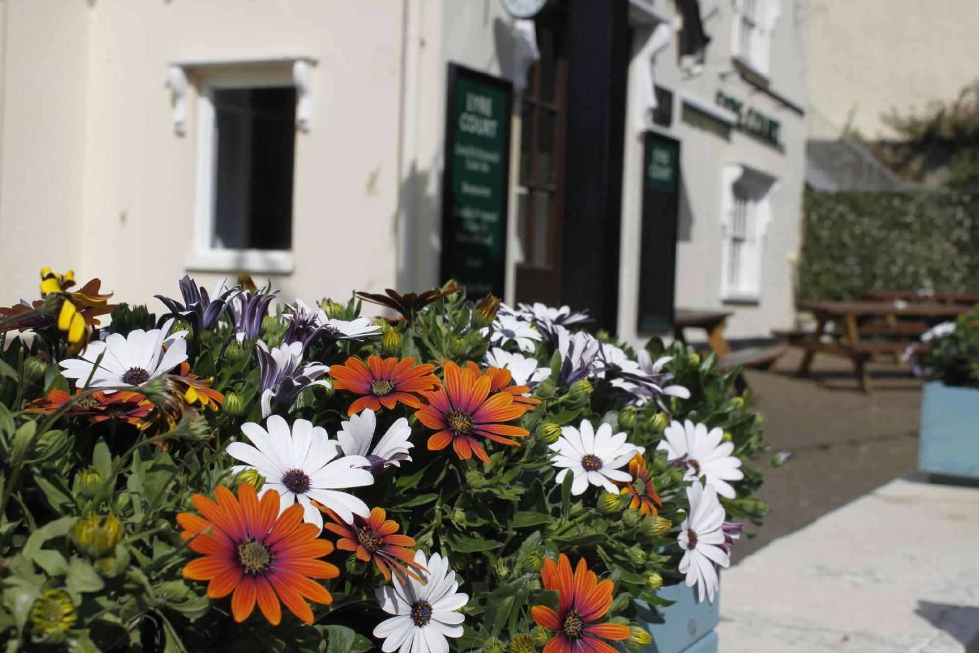 The Eyre Court Bed & Breakfast Seaton  Exterior foto